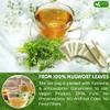 FreshDrinkUS, Premium 60 Mugwort Leaf Tea Bags, 100% Natural and Pure Mugwort Leaves. No Sugar, No Caffeine, No Gluten, Vegan. view 4