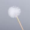 6pcs Goose Feather Earpicks, Disposable Earwax Remover Wooden Handle Ear Dig Cleaner Stick Ear Spoon Ear Wax Cleaner Ear Massage Tool view 3