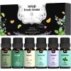 MISIJI Essential Oils Set Top 6 Aromatherapy-Essential Oils for Diffuser for Home,Air Freshening Diffuser Oils Scents for Aromatherapy,Laundry,Candle&Soap Making,Humidifiers 6 X 10ML view 1