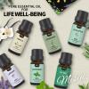 MISIJI Essential Oils Set Top 6 Aromatherapy-Essential Oils for Diffuser for Home,Air Freshening Diffuser Oils Scents for Aromatherapy,Laundry,Candle&Soap Making,Humidifiers 6 X 10ML view 2