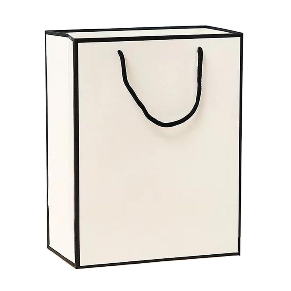 12 PCS White Kraft Paper Gift Bags with Handles Bulk, Shopping Party Bags, Gift Bags, Merchandise Bags, Retail Bags for Packaging Floral Wrap Florist Supplies Basket Graduation Wedding Valentine