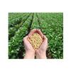 Flavor Spice Soy Beans Plant Base Natural Protein Powder, Made from 100% Soy Beans Seed with no Artificial or additives, no Sugar, GMO Free, Gluten Free (1.15LB (18.4oz) view 2