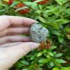 GAF TREASURES Wholesale Raw Pyrite Crystals, Natural Pyrite Stone, Natural Rough Pyrite Crystals, Pyrite Rough, Pyrite Healing Crystals (Pyrite, 11 pounds) view 2