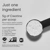 Sports Research Creatine Monohydrate - Gain Lean Muscle, Improve Performance and Strength and Support Workout Recovery* - 5 g Micronized Creatine - 17.46 oz view 2