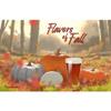 FLAVORS OF FALL PUMPKIN ALE Premium Homebrewing Extract Ingredient Beer Kit from Brewmaster BMKIT134 view 2