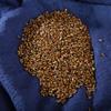 500 Grams Natural Organic Herbal Supplements Semen Cassiae,Catsia Tora Linn,Juemingzi. view 4