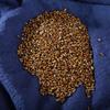 1000 Grams Natural Organic Herbal Supplements Semen Cassiae,Catsia Tora Linn,Juemingzi. view 4