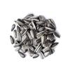 Food to Live Raw Sunflower Seeds in Shell, 1 Pound  Fresh, Crunchy and Nutty Snack for on-the-go, Preservative-free, Great Source of Protein, Fiber, Minerals & Vitamins. Whole Unhulled Seeds. view 4