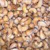 Honey Roasted Cashews Sweet & Crunchy Premium Roasted Cashew Nuts, Fresh Snack, Resealable Bag (2 Pound) view 2