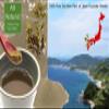 Hand-picked natural Akamoku dried seaweed fucoidan powder from Itoshima, Fukuoka, Kyushu Japan kelp seaweed (3.53 ounces) view 3