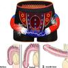 3/6-Pack Boxer Brief Improving Male Power Magnetic Therapy Energetic Underwear for Men Physiological Health Care Panties (Color : 6-Pack, Size : 5X-Large) view 3