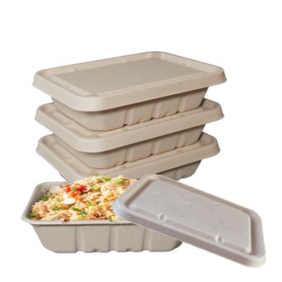 EcoQuality 40oz Disposable Bowls with Fiber Lids - Rectangular Compostable Sugarcane Fiber Biodegradable Paper Bowls Eco-Friendly Take Out Food Storage Containers, Microwave Safe, Meal Prep (250 PACK)