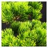 Fake Plants Artificial Bonsai Pine Tree Fake Plants Room Decor for Bedroom Aesthetic and Home Farmhouse Bathroom Decor, Height 11 Inchwith Cleaning Brush Bonsai Tree view 3