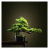 Fake Plants 16 Inches Artificial Bonsai Pine TreePotted Artificial House Plants for Zen Garden Dcor,with Cleaning Brush Bonsai Tree view 1