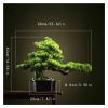 Fake Plants 16 Inches Artificial Bonsai Pine TreePotted Artificial House Plants for Zen Garden Dcor,with Cleaning Brush Bonsai Tree view 2