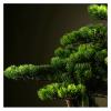 Fake Plants 16 Inches Artificial Bonsai Pine TreePotted Artificial House Plants for Zen Garden Dcor,with Cleaning Brush Bonsai Tree view 3