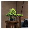 Fake Plants 16 Inches Artificial Bonsai Pine TreePotted Artificial House Plants for Zen Garden Dcor,with Cleaning Brush Bonsai Tree view 4