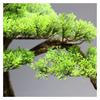 Fake Plants Artificial Welcome Pine Bonsai,13 Inch Zen Micro Landscape OrnamentFake Trees for Conference Room Exhibition Hall Rackwith Cleaning Brush Bonsai Tree view 4
