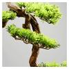 Fake Plants Artificial Bonsai Pine Tree, 19.6 Inch Faux Potted Plant Fake Tree Pot Ornaments Cedar Bonsai Plant for Living Rooms, Tea Roomswith Cleaning Brush Bonsai Tree view 3