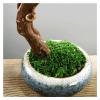 Fake Plants Artificial Bonsai Pine Tree, 19.6 Inch Faux Potted Plant Fake Tree Pot Ornaments Cedar Bonsai Plant for Living Rooms, Tea Roomswith Cleaning Brush Bonsai Tree view 4