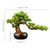 Fake Plants 13 Inches Tall Artificial Pine, A New Chinese Ornamental Fake Tree Potted, for Entrance Living Room Hotel Decorations Faux Plantswith Cleaning Brush Bonsai Tree view 2