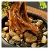 Fake Plants 13 Inches Tall Artificial Pine, A New Chinese Ornamental Fake Tree Potted, for Entrance Living Room Hotel Decorations Faux Plantswith Cleaning Brush Bonsai Tree view 4