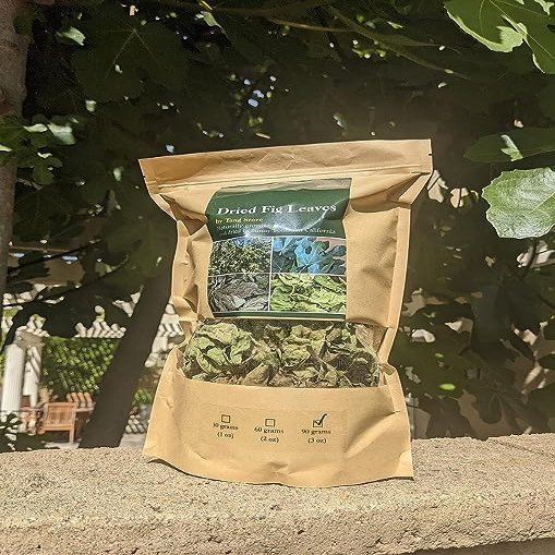 1 oz (30 grams) Organic Ficus carica leaves, Dried smashed Fig Leaves for Tea or infusion Package by Tang Store