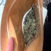 1 oz (30 grams) Organic Ficus carica leaves, Dried smashed Fig Leaves for Tea or infusion Package by Tang Store view 2