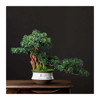 Artificial Trees Bonsai Tree Faux Juniper Bonsai Artificial Bonsai Tree Decor Desk Plants for Home Office Showcase Indoor Dcor Desktop Display Simulated Pine (Color : Brass)