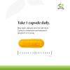 Terry Naturally CuraMed 500mg - Antioxidant Supplement for Brain & Immune Health Support - Supplement with Curcumin & Turmeric Essential Oil - Herbal Liver Support - 60 Capsules (Pack of 2) view 4