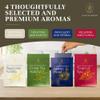 Whole House Aromatherapy Variety Pack - Filter Fresh Whole Home Air Freshener System - HVAC Vent Freshener for Home AC - House Air Fresheners Smell Good for Office, & More by Ash Harbor view 3
