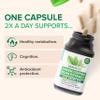 Zenwise Health EGCG Green Tea Extract Capsules with Coffee Bean Extract - 50% EGCG + 98% Polyphenols Supplement - Green Tea Pills for Skin and Heart Support + Brain Health and Memory Boost - 60 Count view 3