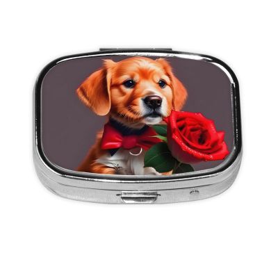 Gentleman-Like Dog Everyday Pill Organizer, Fits in Pocket, 2 Compartment Portable Pill Box for Medications, Vitamins and More