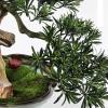 Fake Plants Artificial Bonsai Tree New Chinese-Style Simulation Luohan Pine Bonsai Tree 25.6 in Large Green Simulation Welcome Pine Bonsai Plant Ceramic Flower Pot Bonsai Tree view 3