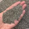 Wholesale Natural Semi Tumbled Pyrite Sand Gemstone Chips, Crushed Mini Crystals, Undrilled Crystal Chips (Pyrite Sand, 0.5 Pound) view 3