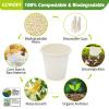 CCWOFF 3 oz Bathroom Cups 100% Compostable Cups Biodegradable Eco Friendly Cups Mouthwash Cups for Rinsing Mouth Shot Cups Disposable for Tasting (50 Pack) view 2