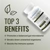 Approved Science Parastrin - 120 Capsules - Cleanse and Improve Gut Health - Black Walnut, Garlic Bulb, Papain 2000, BioPerine - Vegan view 3