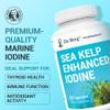 Dr. Berg Sea Kelp Enhanced Iodine - 200 mcg of Premium Iodine - Seaweed Blend Includes Klamath Blue-Green Algae & Sea Kelp - 90 Capsules view 2