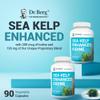 Dr. Berg Sea Kelp Enhanced Iodine - 200 mcg of Premium Iodine - Seaweed Blend Includes Klamath Blue-Green Algae & Sea Kelp - 90 Capsules view 4