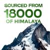VEDIKROOTS Pure Himalayan Shilajit Resin  Gold Grade 800mg | 85+ Trace Minerals & 75% Fulvic Acid | Supports Energy, Stamina & Immune Health | Third-Party Lab Tested | 30g, 75 Servings view 3