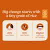 Jasberry, Rice Superfood 9 Grains Organic, 7.05 Ounce view 4