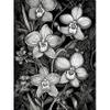 Artery8 White on Black Blooming Orchid Flower Plants Extra Large XL Wall Art Poster Print view 1