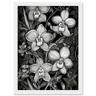 Artery8 White on Black Blooming Orchid Flower Plants Artwork Framed A3 Wall Art Print