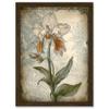 Artery8 Single Orchid Flower Pastel Colour Art Nouveau Artwork Framed A3 Wall Art Print view 1
