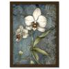 Artery8 Orchid Flower Blooms Pastel Colour Art Nouveau Artwork Framed A3 Wall Art Print view 1