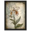 Artery8 Single Orchid Flower Pastel Colour Art Nouveau Artwork Framed A3 Wall Art Print view 1