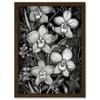 Artery8 White on Black Blooming Orchid Flower Plants Artwork Framed A3 Wall Art Print view 1