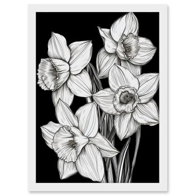 Artery8 Daffodil Wildflower Plant Blooms Black and White Artwork Framed A3 Wall Art Print