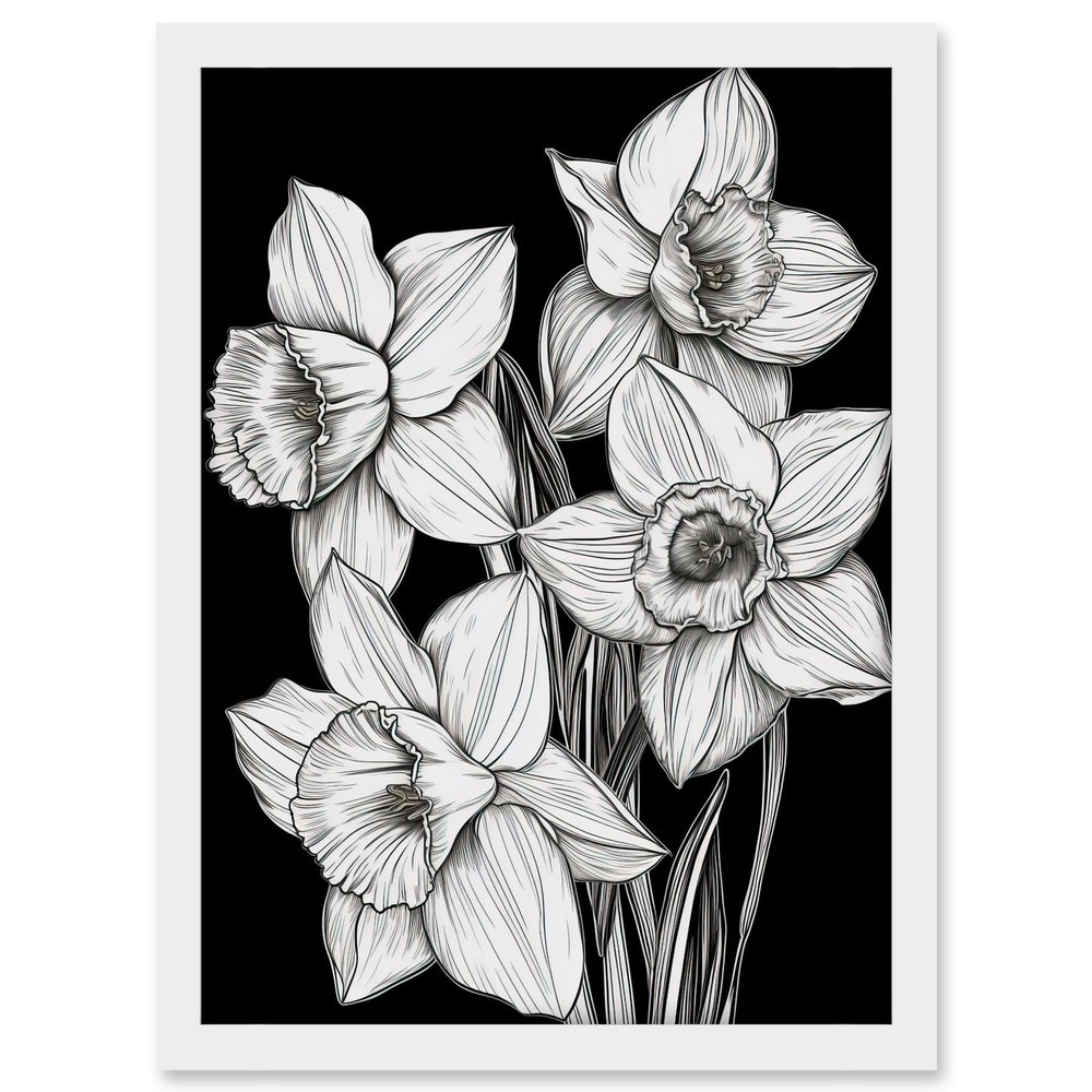 Artery8 Daffodil Wildflower Plant Blooms Black and White Artwork Framed A3 Wall Art Print