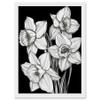 Artery8 Daffodil Wildflower Plant Blooms Black and White Artwork Framed A3 Wall Art Print view 1